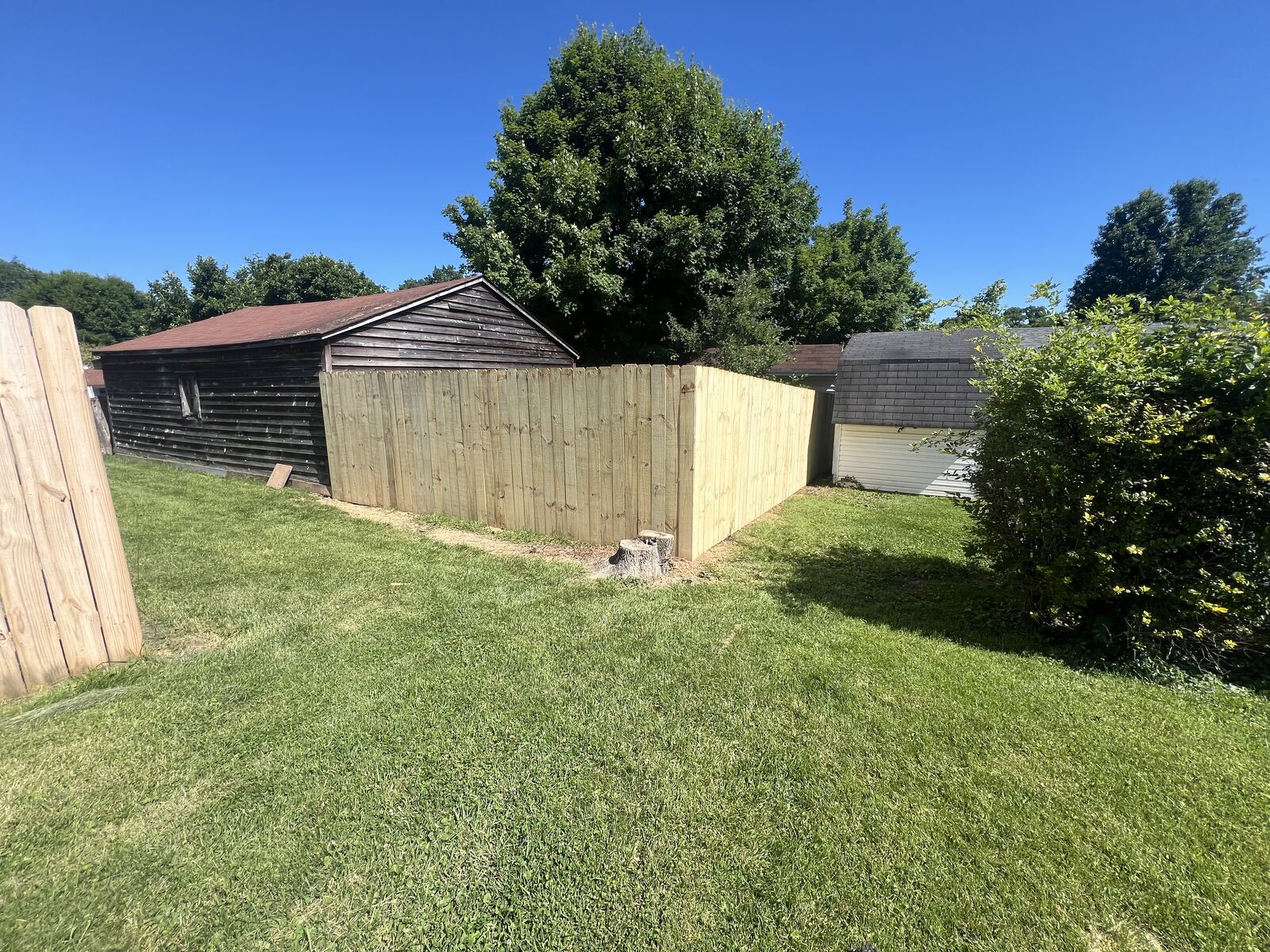 New wood privacy fence enclosing a backyard