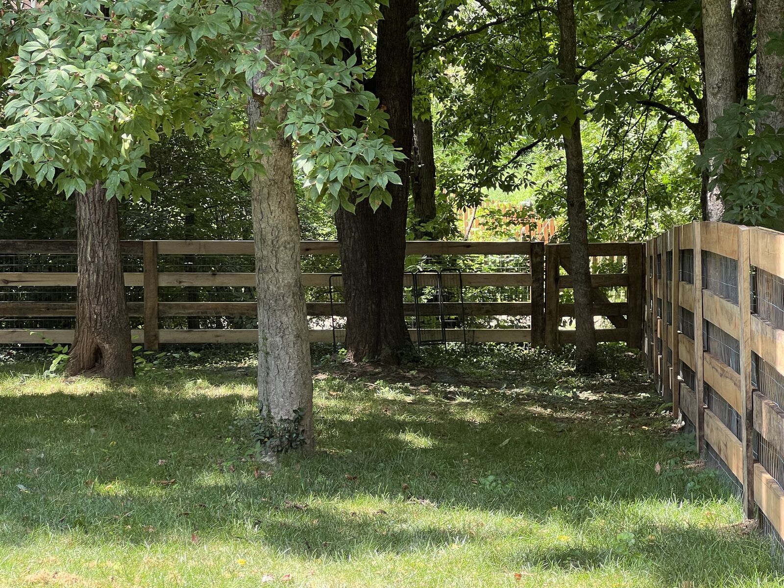 Board fence with wire mesh enclosing a wooded backyard
